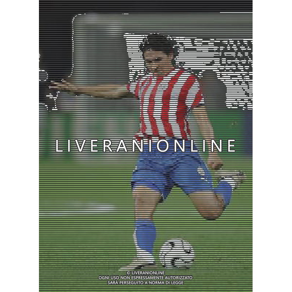 Berlino 1/06/2006 World Cup Germany 2006 svezia-paraguay nella foto nunez jorge ph marco luzzani/aga aldo liverani s.a.s.