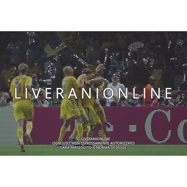 Berlino 1/06/2006 World Cup Germany 2006 svezia-paraguay nella foto esultanza svezia dopo il gol di ljungberg ph marco luzzani/aga aldo liverani s.a.s.