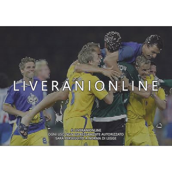 Berlino 1/06/2006 World Cup Germany 2006 svezia-paraguay nella foto esultanza svezia a fine gara ph marco luzzani/aga aldo liverani s.a.s.