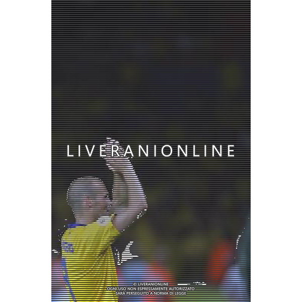 Berlino 1/06/2006 World Cup Germany 2006 svezia-paraguay nella foto ljungberg freddie ph marco luzzani/aga aldo liverani s.a.s.