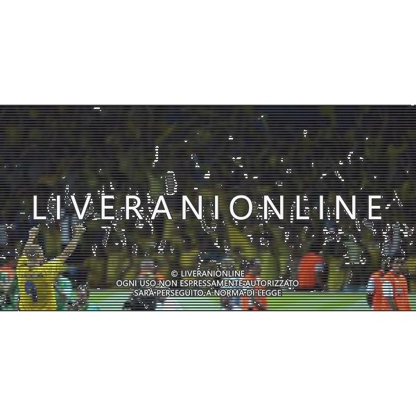Berlino 1/06/2006 World Cup Germany 2006 svezia-paraguay nella foto ljungberg freddie ph marco luzzani/aga aldo liverani s.a.s.