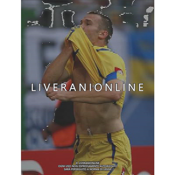 Arabia Saudita - Ucraina Mondiali Germania 19/06/2006 nella foto esultanza dopo il gol di Andriy Shevchenko, del 0-3 copyright by firo sportphoto/ag. aldo liverani only italy