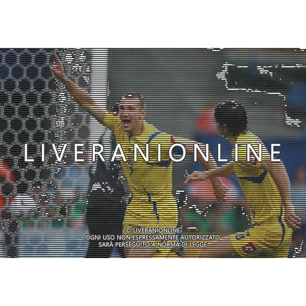 Arabia Saudita - Ucraina Mondiali Germania 19/06/2006 nella foto esultanza dopo il gol di Andriy Shevchenko, del 0-3 copyright by firo sportphoto/ag. aldo liverani only italy