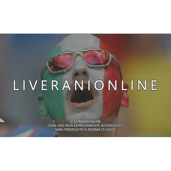 Italia - Australia mondiali Germania 26/06/2006 nella foto tifosi italiani ph luzzani/ag. aldo liverani