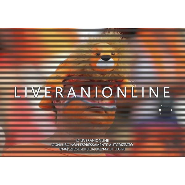 Norimberga (GER) 25/06/2006 World Cup Germany 2006 portogallo-olanda 1:0 nella foto tifo: Olanda ph marco luzzani/ag aldo liverani s.a.s. 