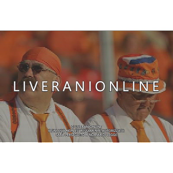 Norimberga (GER) 25/06/2006 World Cup Germany 2006 portogallo-olanda 1:0 nella foto tifo: Olanda ph marco luzzani/ag aldo liverani s.a.s. 