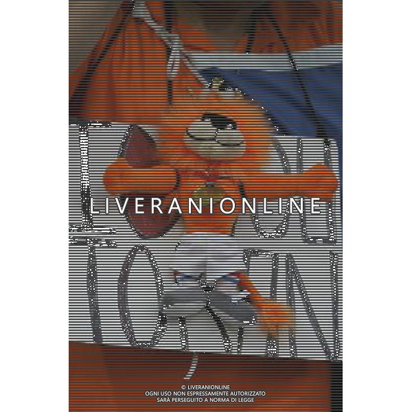 Norimberga (GER) 25/06/2006 World Cup Germany 2006 portogallo-olanda 1:0 nella foto tifo: Olanda ph marco luzzani/ag aldo liverani s.a.s. 