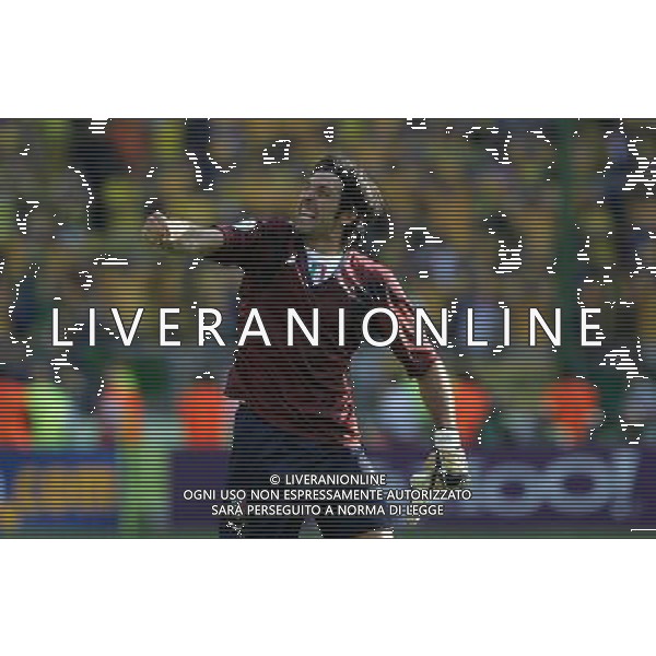 Kaiserslautern (GER) 26-06-2006 World Cup Germany 2006 italia-australia 1:0 Mondiali Germania 2006 nella foto esultanza di gianluigi buffon a fine gara ph marco luzzani/ag aldo liverani s.a.s.