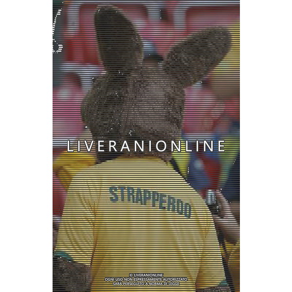 Kaiserslautern (GER) 26-06-2006 World Cup Germany 2006 italia-australia 1:0 Mondiali Germania 2006 nella foto tifosi australia ph marco luzzani/ag aldo liverani s.a.s.