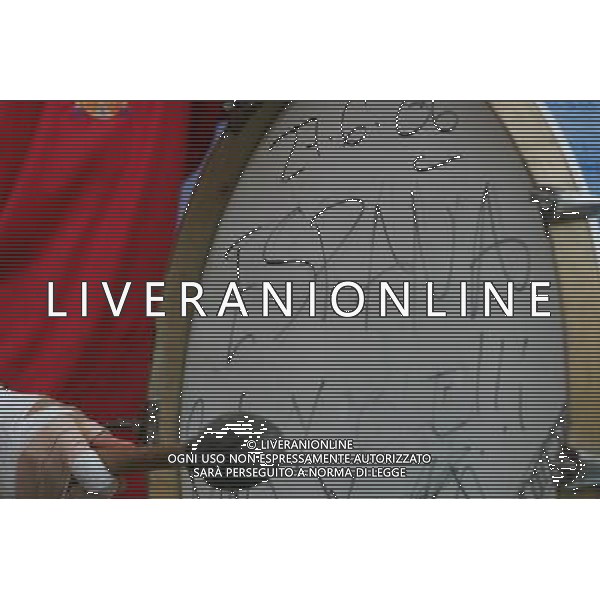 Hannover (GER) 27/06/2006 World Cup Germany 2006 Spagna-Francia nella foto tifo Spagna Ph marco luzzani/ag aldo liverani s.a.s.