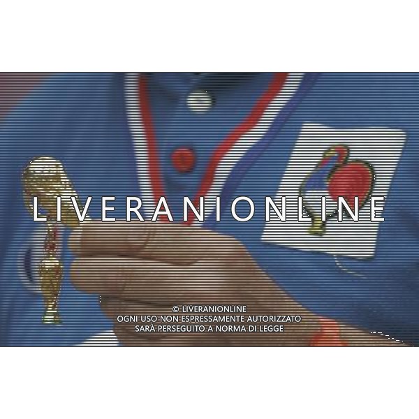 Hannover (GER) 27/06/2006 World Cup Germany 2006 Spagna-Francia nella foto tifo: Francia Ph marco luzzani/ag aldo liverani s.a.s.