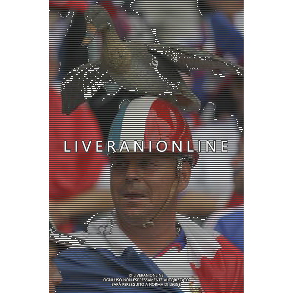 Hannover (GER) 27/06/2006 World Cup Germany 2006 Spagna-Francia nella foto tifo: Francia Ph marco luzzani/ag aldo liverani s.a.s.