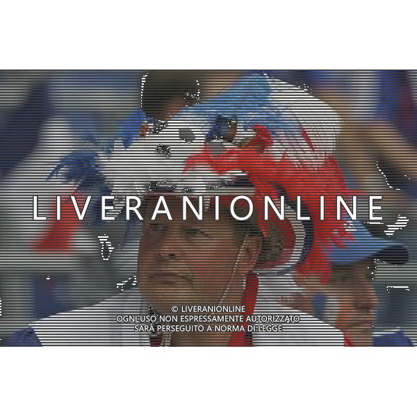 Hannover (GER) 27/06/2006 World Cup Germany 2006 Spagna-Francia nella foto tifo: Francia Ph marco luzzani/ag aldo liverani s.a.s.