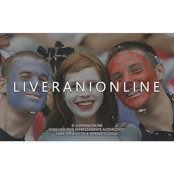 Hannover (GER) 27/06/2006 World Cup Germany 2006 Spagna-Francia nella foto tifo: Francia Ph marco luzzani/ag aldo liverani s.a.s.