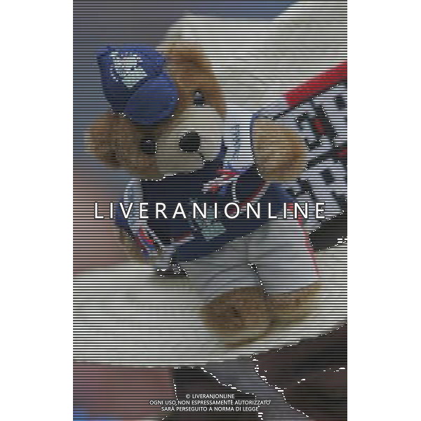 Hannover (GER) 27/06/2006 World Cup Germany 2006 Spagna-Francia nella foto tifo: Francia Ph marco luzzani/ag aldo liverani s.a.s.