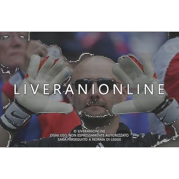 Hannover (GER) 27/06/2006 World Cup Germany 2006 Spagna-Francia nella foto tifo: Francia Ph marco luzzani/ag aldo liverani s.a.s.