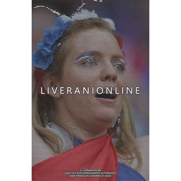Hannover (GER) 27/06/2006 World Cup Germany 2006 Spagna-Francia nella foto tifo: Francia Ph marco luzzani/ag aldo liverani s.a.s.
