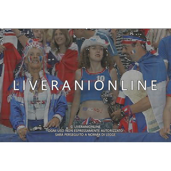 Hannover (GER) 27/06/2006 World Cup Germany 2006 Spagna-Francia nella foto tifo: Francia Ph marco luzzani/ag aldo liverani s.a.s.