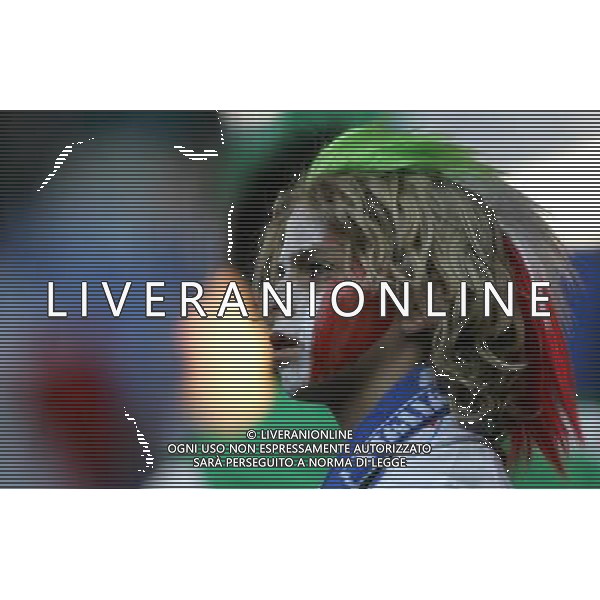 Italia - Ucraina Mondiali Germania 30/06/2006 nella foto tifosi italiani ph luzzani/ag. aldo liverani