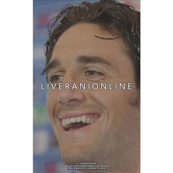 Duisburg 1 luglio 2006 Allenamento della nazionale italiana presso il centro sportivo MSV Duisburg nella foto: Toni Luca in conferenza stampa foto Andry / Ag. Aldo Liverani