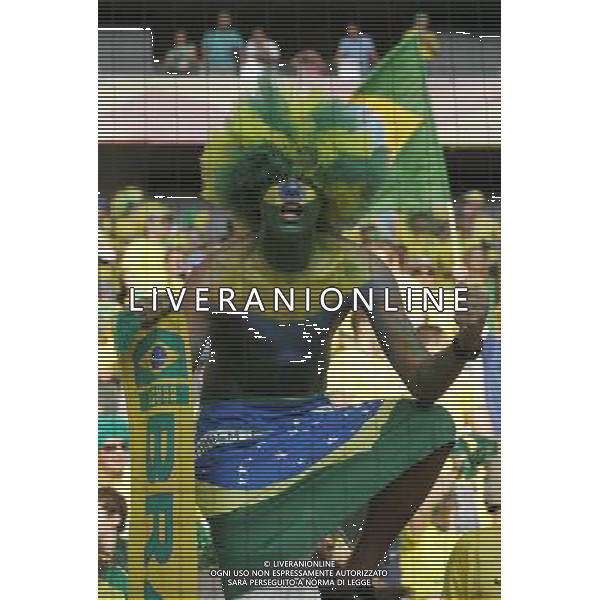 brasile - francia mondiali germania 01/07/2006 nella foto tifosi brasile ph luzzani/ag. aldo liverani