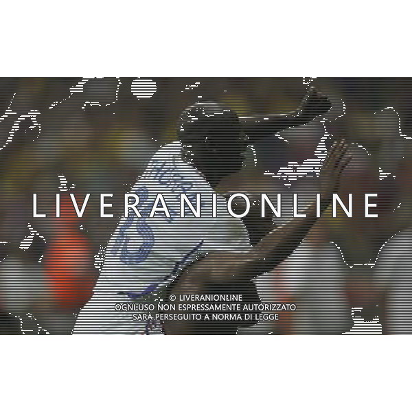 brasile - francia mondiali germania 01/ nella foto esultanza di lilian thuram a fine gara ph luzzani/ag. aldo liverani