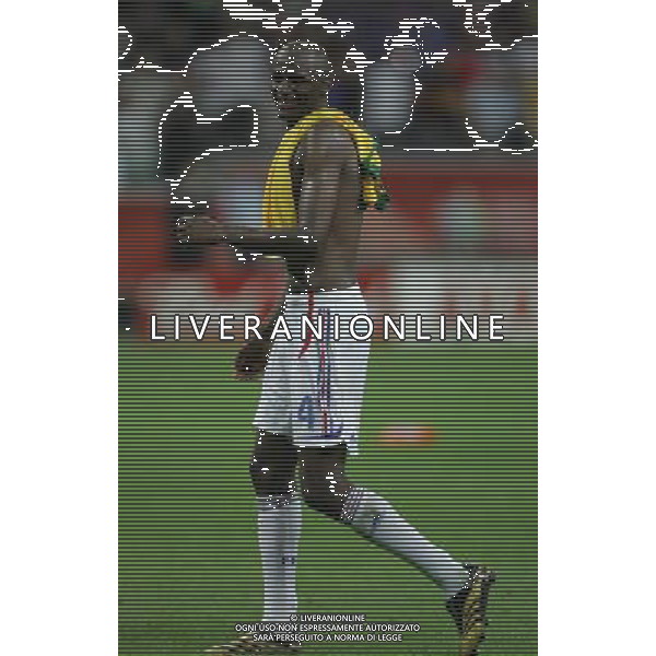 brasile - francia mondiali germania 01/ nella foto l\'esultanza di patrick vieira a fine gara ph luzzani/ag. aldo liverani