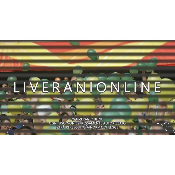 Francoforte 01-07-2006 World Cup Germany 2006 brasile-francia 0:1 nella foto tifo ph marco luzzani/ag aldo liverani s.a.s.