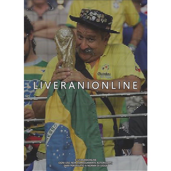 Francoforte 01-07-2006 World Cup Germany 2006 brasile-francia 0:1 nella foto tifo ph marco luzzani/ag aldo liverani s.a.s.