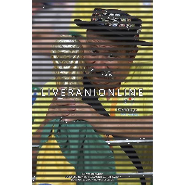 Francoforte 01-07-2006 World Cup Germany 2006 brasile-francia 0:1 nella foto tifo ph marco luzzani/ag aldo liverani s.a.s.