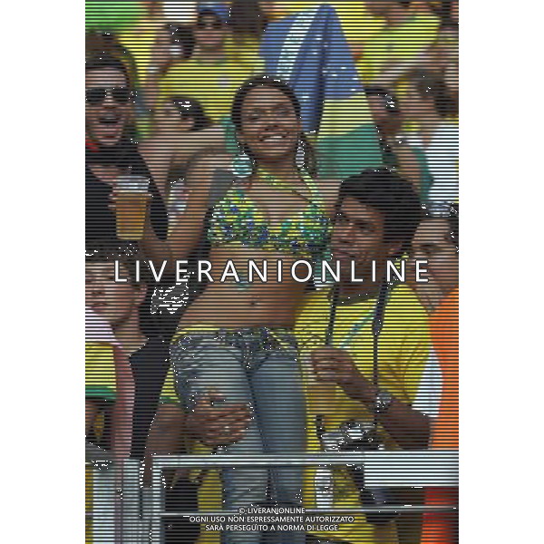 Francoforte 01-07-2006 World Cup Germany 2006 brasile-francia 0:1 nella foto tifo ph marco luzzani/ag aldo liverani s.a.s.