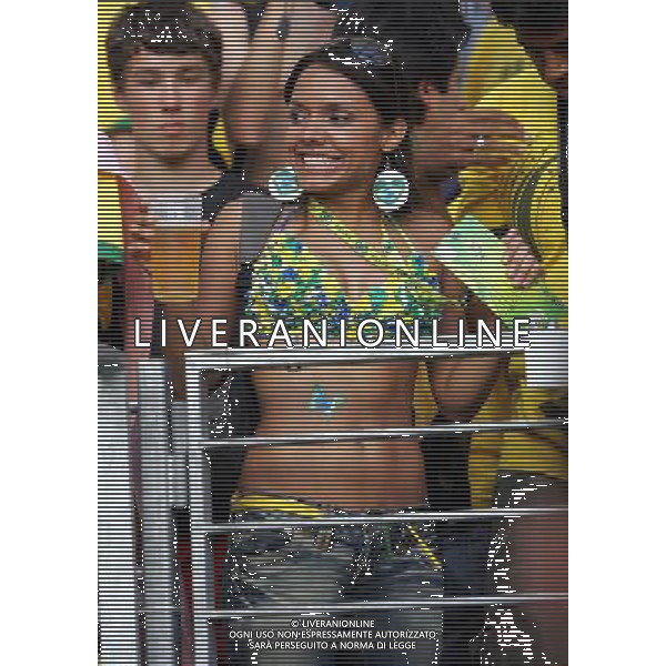 Francoforte 01-07-2006 World Cup Germany 2006 brasile-francia 0:1 nella foto tifo ph marco luzzani/ag aldo liverani s.a.s.