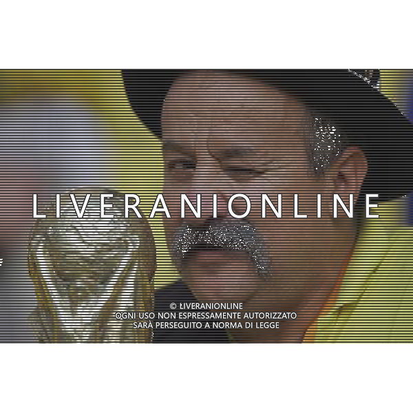 Francoforte 01-07-2006 World Cup Germany 2006 brasile-francia 0:1 nella foto tifo ph marco luzzani/ag aldo liverani s.a.s.