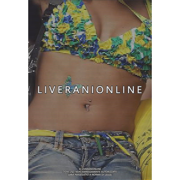 Francoforte 01-07-2006 World Cup Germany 2006 brasile-francia 0:1 nella foto tifo ph marco luzzani/ag aldo liverani s.a.s.