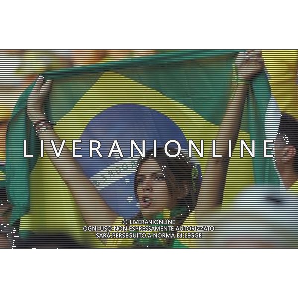 Francoforte 01-07-2006 World Cup Germany 2006 brasile-francia 0:1 nella foto tifo ph marco luzzani/ag aldo liverani s.a.s.