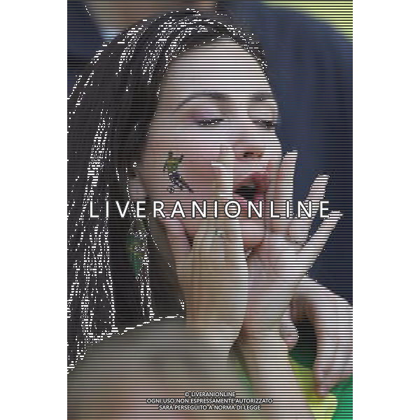 Francoforte 01-07-2006 World Cup Germany 2006 brasile-francia 0:1 nella foto tifo ph marco luzzani/ag aldo liverani s.a.s.