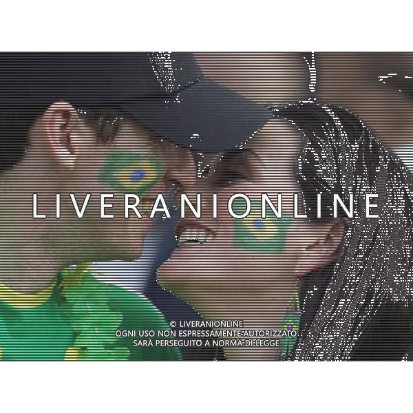 Francoforte 01-07-2006 World Cup Germany 2006 brasile-francia 0:1 nella foto tifo ph marco luzzani/ag aldo liverani s.a.s.