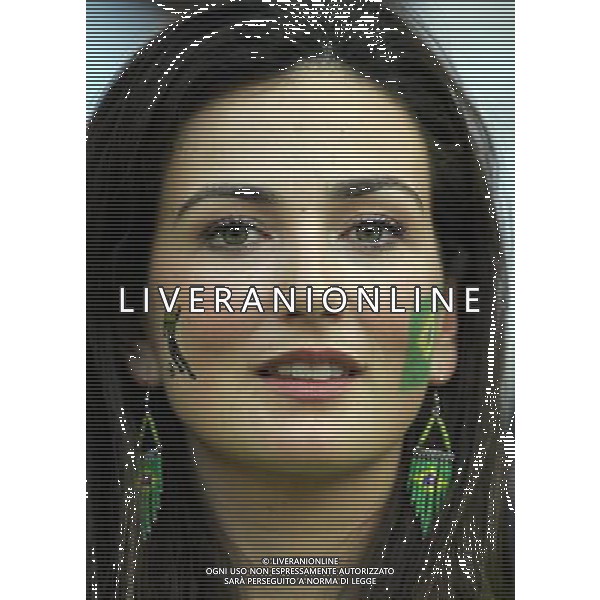 Francoforte 01-07-2006 World Cup Germany 2006 brasile-francia 0:1 nella foto tifo ph marco luzzani/ag aldo liverani s.a.s.