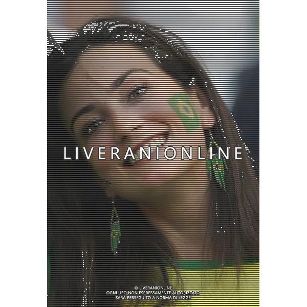 Francoforte 01-07-2006 World Cup Germany 2006 brasile-francia 0:1 nella foto tifo ph marco luzzani/ag aldo liverani s.a.s.