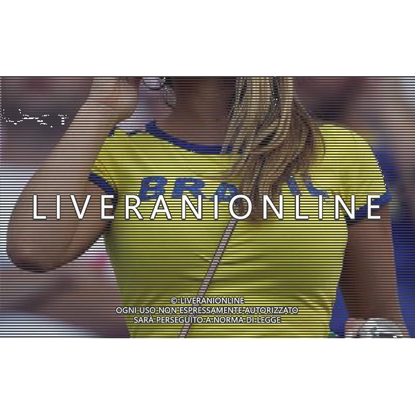 Francoforte 01-07-2006 World Cup Germany 2006 brasile-francia 0:1 nella foto tifo ph marco luzzani/ag aldo liverani s.a.s.