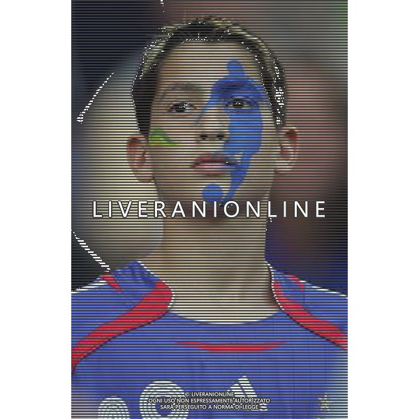 Francoforte 01-07-2006 World Cup Germany 2006 brasile-francia 0:1 nella foto tifo ph marco luzzani/ag aldo liverani s.a.s.