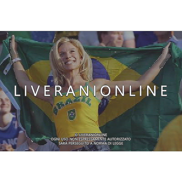 Francoforte 01-07-2006 World Cup Germany 2006 brasile-francia 0:1 nella foto tifo ph marco luzzani/ag aldo liverani s.a.s.