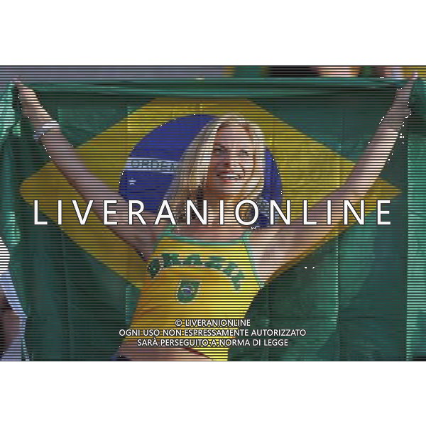 Francoforte 01-07-2006 World Cup Germany 2006 brasile-francia 0:1 nella foto tifo ph marco luzzani/ag aldo liverani s.a.s.