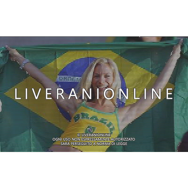 Francoforte 01-07-2006 World Cup Germany 2006 brasile-francia 0:1 nella foto tifo ph marco luzzani/ag aldo liverani s.a.s.