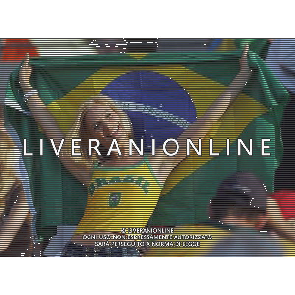 Francoforte 01-07-2006 World Cup Germany 2006 brasile-francia 0:1 nella foto tifo ph marco luzzani/ag aldo liverani s.a.s.