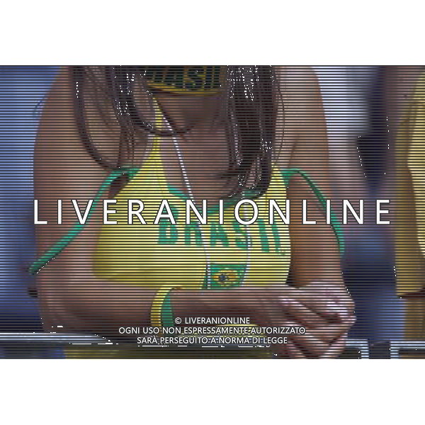 Francoforte 01-07-2006 World Cup Germany 2006 brasile-francia 0:1 nella foto tifo ph marco luzzani/ag aldo liverani s.a.s.