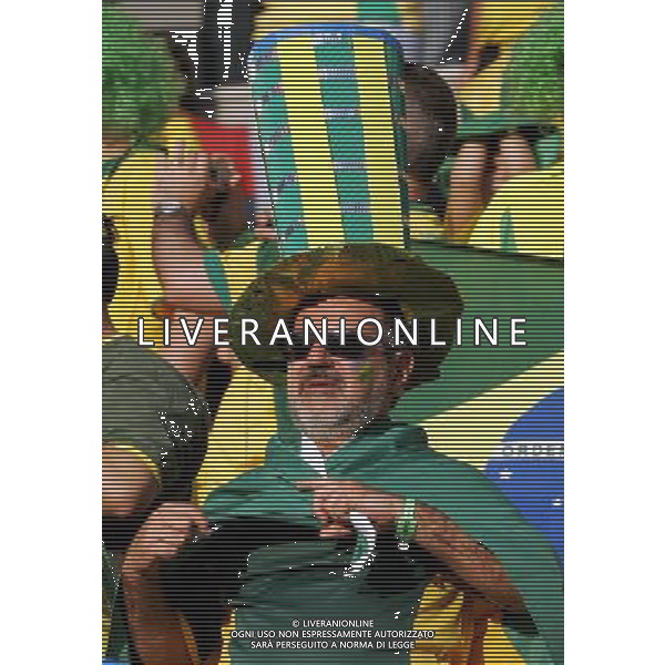 Francoforte 01-07-2006 World Cup Germany 2006 brasile-francia 0:1 nella foto tifo ph marco luzzani/ag aldo liverani s.a.s.