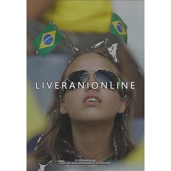 Francoforte 01-07-2006 World Cup Germany 2006 brasile-francia 0:1 nella foto tifo ph marco luzzani/ag aldo liverani s.a.s.
