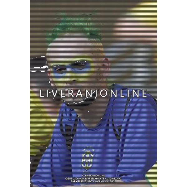 Francoforte 01-07-2006 World Cup Germany 2006 brasile-francia 0:1 nella foto tifo ph marco luzzani/ag aldo liverani s.a.s.