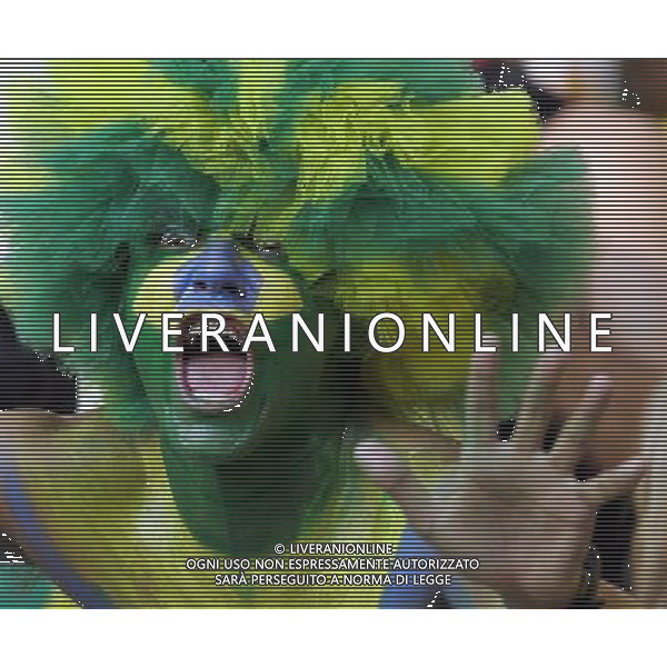 Francoforte 01-07-2006 World Cup Germany 2006 brasile-francia 0:1 nella foto tifo ph marco luzzani/ag aldo liverani s.a.s.